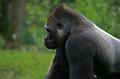 Zoo Schmiding 029